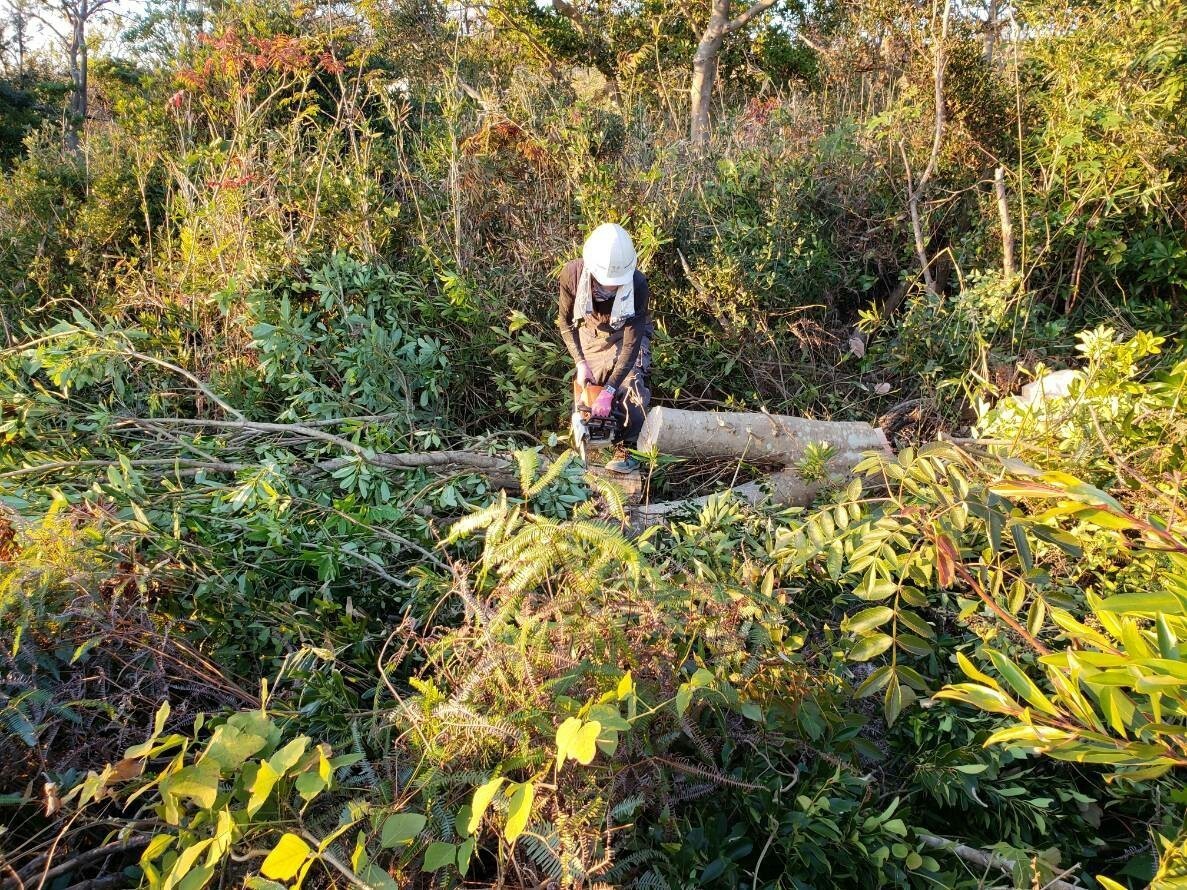 太陽光発電設置工事